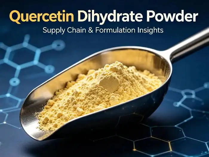 Quercetin Dihydrate Powder Provides Stable Flavonoid Solutions for Global Ingredient Manufacturers